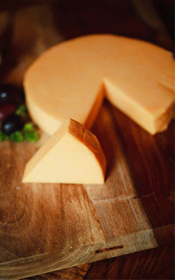 チーズのリパーゼ