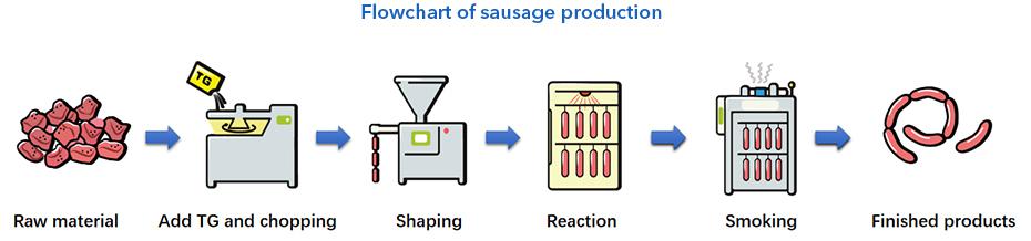 TG‐B標準トランスグルタミナーゼの方法 Sausage